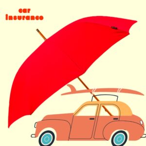 Read more about the article what insurance is required by law for drivers in united state